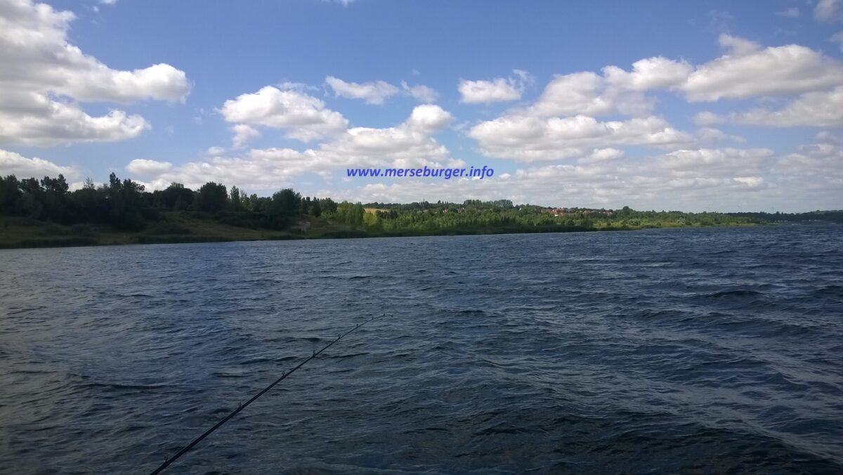 Geiseltalsee ist ein großer See im Bundesland Sachsen-Anhalt